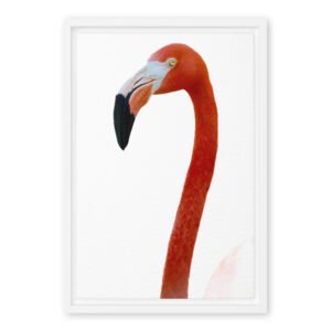 Animal Head Shots Wall Art