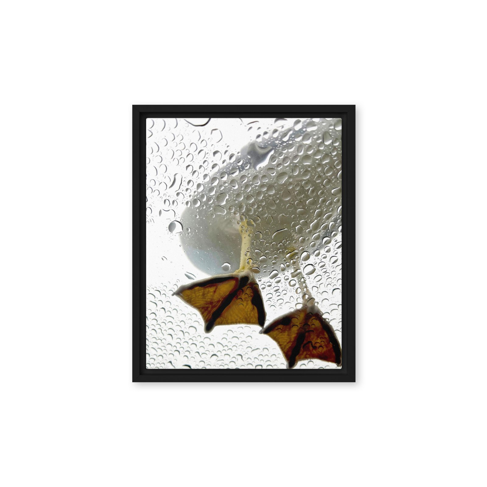 Duck Feet Framed Canvas/11x14 - Image 2