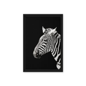 Black and White Zebra Photo Framed Canvas/12x18