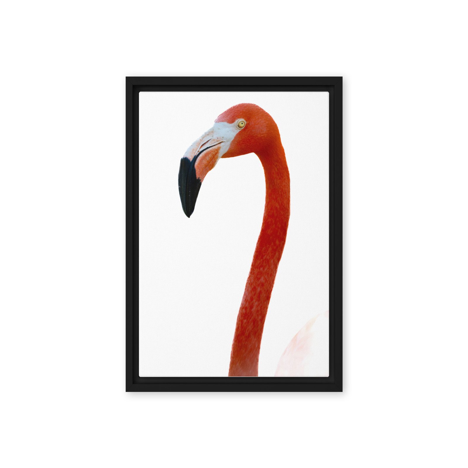 Flamingo Close Up Framed Photo Canvas/12x18 - Image 2