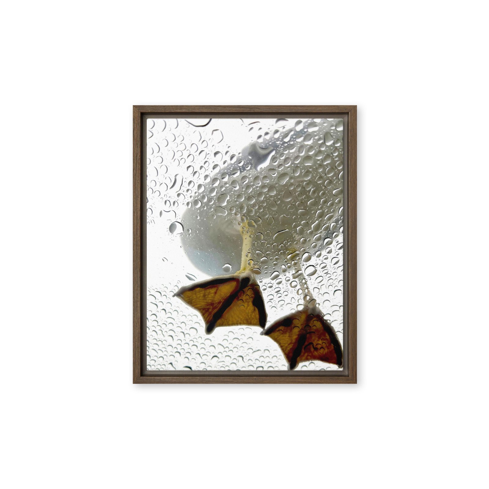 Duck Feet Framed Canvas/11x14