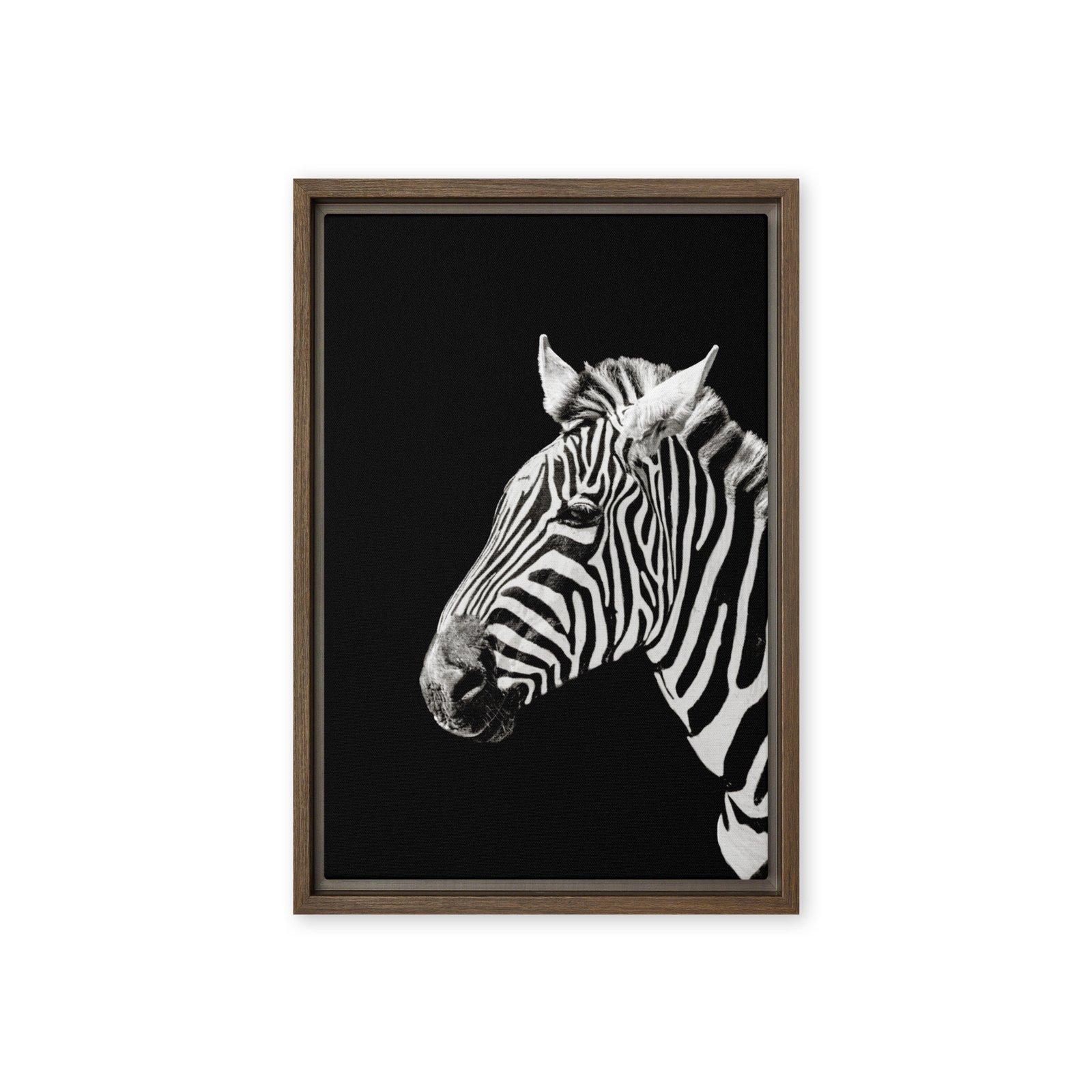 Black and White Zebra Photo Framed Canvas/12x18 - Image 2
