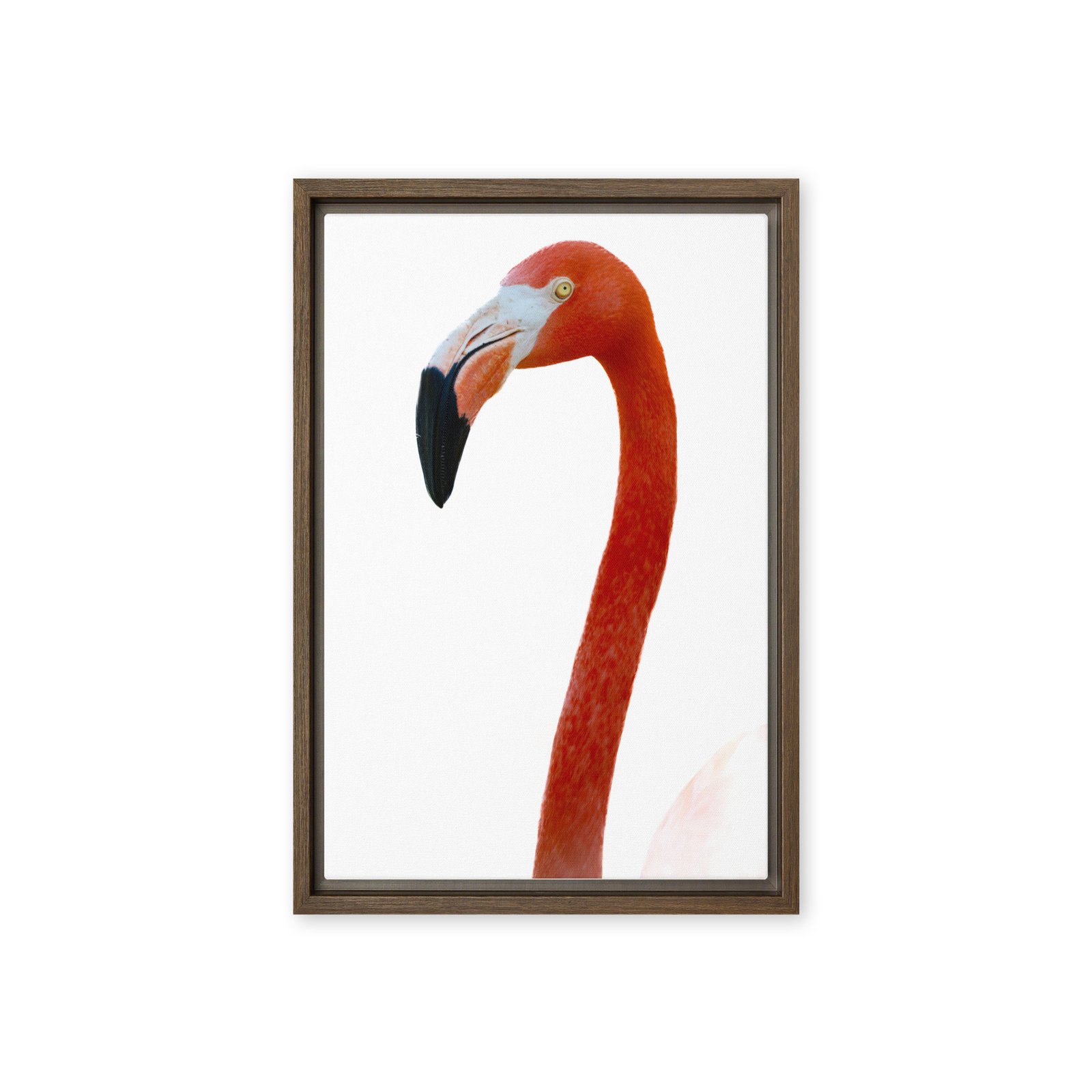 Flamingo Close Up Framed Photo Canvas/12x18 - Image 3