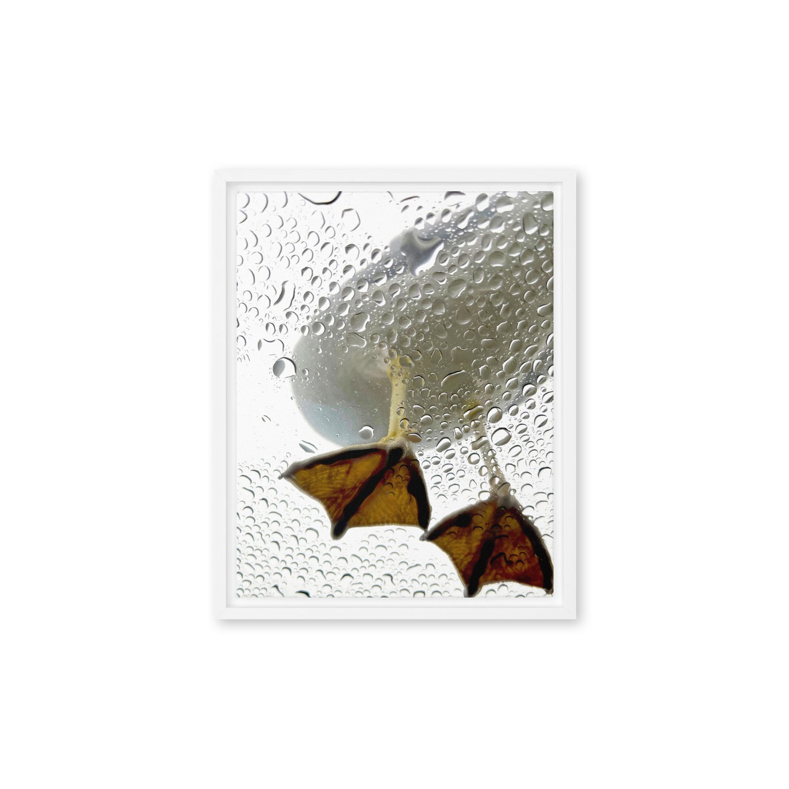 Duck Feet Framed Canvas/11x14 - Image 3