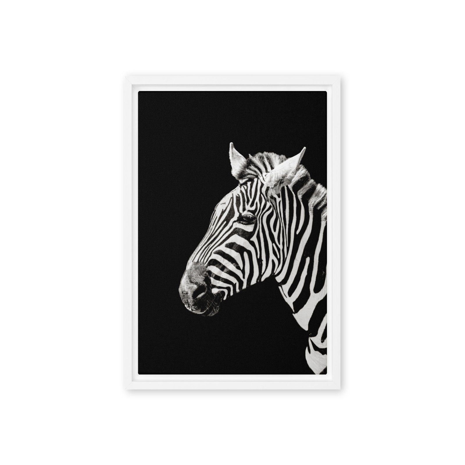 Black and White Zebra Photo Framed Canvas/12x18 - Image 3